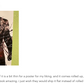 Albert Wesker Uroboros Residence Evil V Premium Poster (Vectorized Design)
