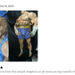 Sagat Alpha 3 Premium Unisex T-shirt (Vectorized Design)