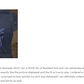 Rookie Cop Leon Survived RE2 Premium Unisex T-shirt (Vectorized Design)